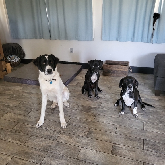 ♡nice to meet you♡ - Picture 6 of 12